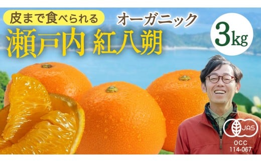 瀬戸内 オーガニック 紅八朔 3kg みかん オレンジ 国産 有機JAS認証 有機栽培 柑橘 八朔 ハッサク はっさく 果物 フルーツ 広島 大崎上島