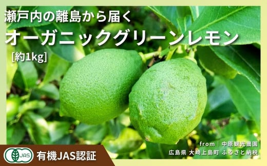 [予約] 10〜11月発送 大崎上島産 有機JAS認証!オーガニックグリーンレモン 約1kg