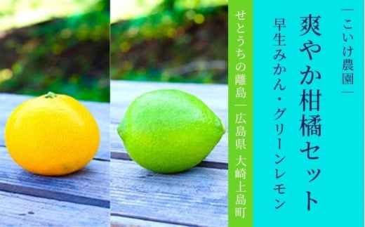早生みかん グリーンレモン 詰め合わせ 約4kg 11月頃発送予定 広島県 大崎上島町 瀬戸内 離島 果物 フルーツ 柑橘 みかん レモン 檸檬 爽やか 送料無料 産地直送