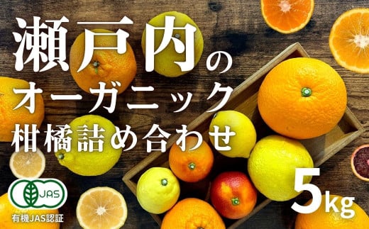 国産 オーガニックフルーツ詰め合わせ 5kg レモン ブラッドオレンジ はるか 不知火 紅八朔 有機JAS認証 選べるサイズ 瀬戸内 広島 大崎上島 離島 有機栽培 安心 安全 オーガニック 柑橘 濃厚 果物 ギフト 3月発送 限定 産地直送 中原観光農園