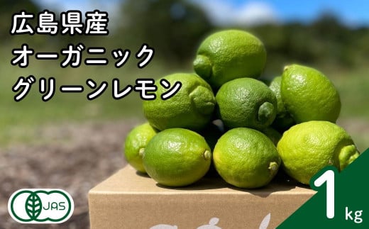 グリーンレモン 約1kg 有機JAS認証取得 フルーツ 果実 広島県産有機 オーガニックレモン 10~11月発送予定 国産 瀬戸内レモン 大崎上島 送料無料 産地直送 ふじやファーム