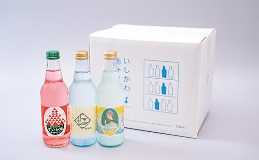いしかわ地サイダー 12本セット