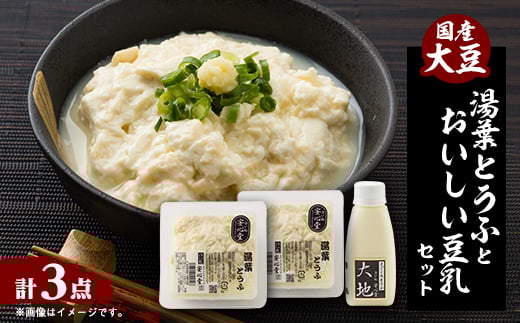 <豆腐職人おすすめ>湯葉とうふ 2パック・おいしい豆乳 180ml×1本セット【1590907】