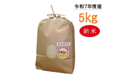【令和7年度産】東浦町のミルキークイーン 5kg|米  新米 おこめ 精米 直送 鈴木農産 愛知県