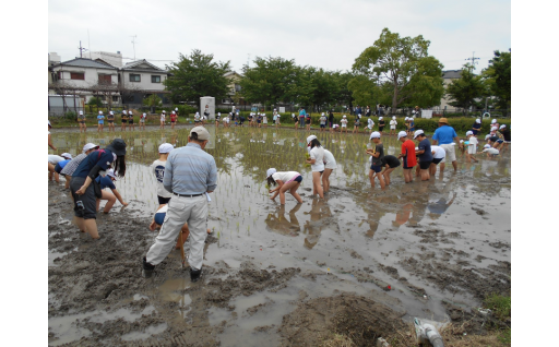 7☆：地域自治組織（昆陽里小学校区）