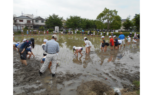 6☆：地域自治組織（昆陽里小学校区）