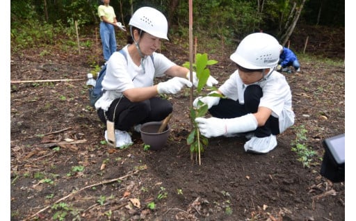7☆：植林プロジェクト