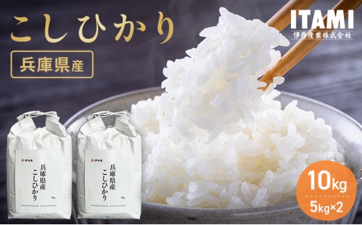 【9月末掲載終了】 お米 令和7年産 兵庫県産コシヒカリ10kg(5kg×2) 米 お米 こめ コメ 白米 兵庫県 伊丹市
