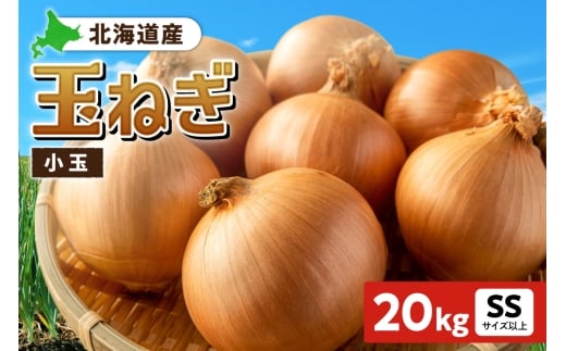 玉ねぎ 北海道産 小玉 20kg SSサイズ以上