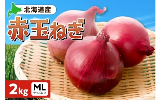 赤玉ねぎ 北海道産 2kg MLサイズ以上