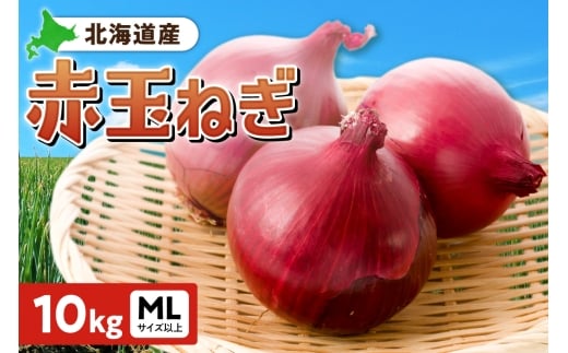 赤玉ねぎ 北海道産 10kg MLサイズ以上