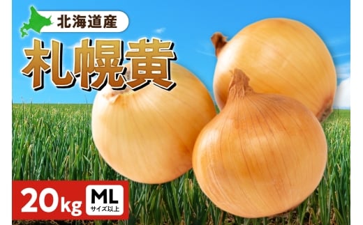 札幌黄 玉ねぎ 北海道産 20kg MLサイズ以上