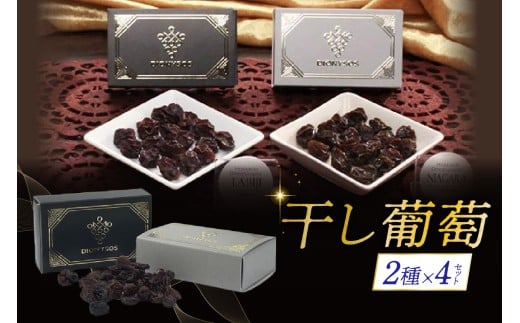 北海道完全無添加干し葡萄 DIONYSOS2種セット×4セット