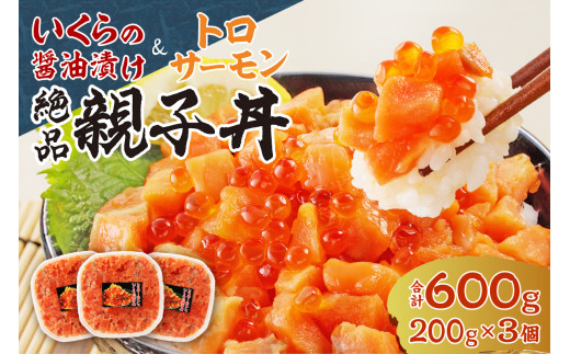 北海道産 いくら 醤油漬け （鮭卵）とトロサーモンの絶品！ 親子丼 セット 600g（200ｇ×３個）水産 海鮮 魚卵 魚介 お取り寄せ グルメ サーモン トロサーモン 3パック ご飯にのせるだけ 冷凍 北海道 札幌市