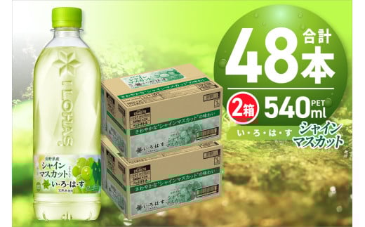 い・ろ・は・す シャインマスカット540mlPET×48本 いろはす フレーバー ドリンク ブドウ 天然水 ペットボトル 24本×2箱 計48本 飲料 リサイクルペット使用 札幌市