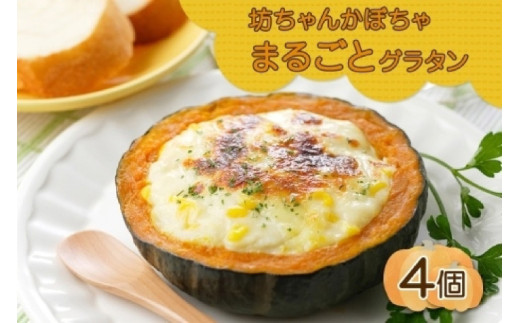 北海道坊っちゃんかぼちゃグラタン 230g 4個セット 鱗幸食品