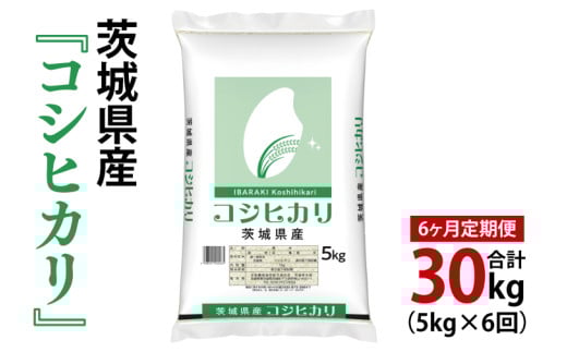 【6ヶ月定期便】令和7年産 茨城県産 コシヒカリ5kg【お米 米 こしひかり ごはん 茨城県】（03-56-1）