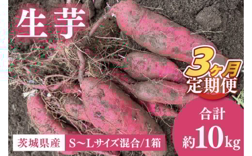 【3ヶ月定期便】生芋10㎏ S~Lサイズ混合 1箱【芋 さつまいも サツマイモ  阿見町 茨城県】(56-16)