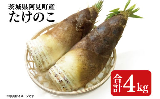 [2025年4月中旬〜5月初旬にお届けの期間限定]茨城県阿見町産たけのこ4kg[タケノコ 筍 春 旬](26-01)