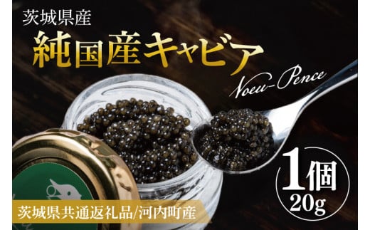 【先行予約】【12月上旬から中旬に発送】【茨城県共通返礼品/河内町】純国産キャビアVoeu-Pence 20ｇ×1個【数量限定 茨城県河内町】(78-01)
