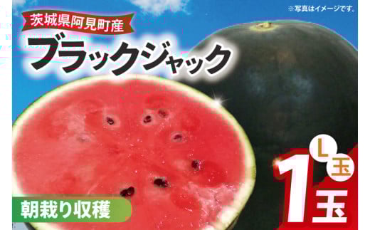 [先行予約][7月中旬より発送]すいか ブラックジャック L玉[スイカ 大玉 大きい 高級感 種少ない 甘い 贈り物 贈答品 プレゼント 茨城県産 茨城県 阿見町](87-01)