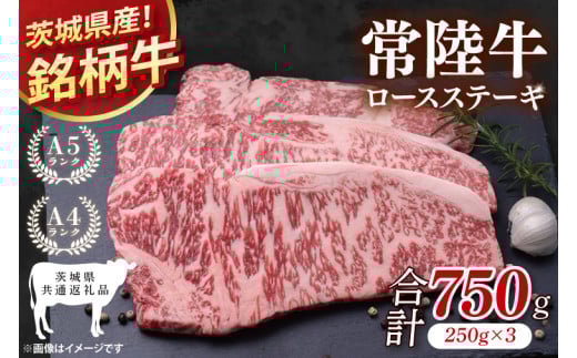 【茨城県共通返礼品】常陸牛ロースステーキ750g(250g×3)【ロース 牛肉 銘柄牛 冷凍 たんぱく質 茨城県 阿見町】(81-02)
