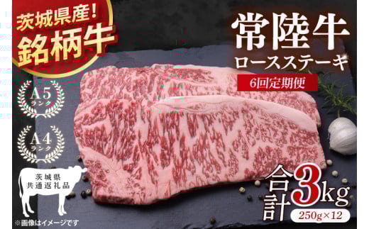 【茨城県共通返礼品】【6回定期便】常陸牛ロースステーキ 計3kg(250g×12)【銘柄牛 牛肉 冷凍 たんぱく質 ビタミン 茨城県産】(81-08)