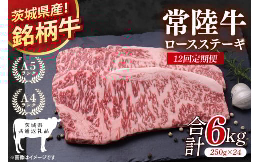 【茨城県共通返礼品】【12回定期便】常陸牛ロースステーキ 計6kg(250g×24)【銘柄牛 牛肉 冷凍 たんぱく質 ビタミン 茨城県産】(81-09)