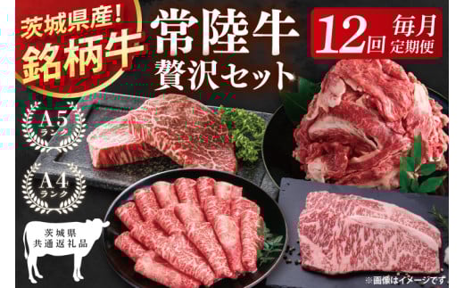 【茨城県共通返礼品】【12回定期便】最高級A4.5ランク常陸牛 贅沢セット【銘柄牛 牛肉 冷凍 たんぱく質 スライス ステーキ すき焼き しゃぶしゃぶ 切り落とし 茨城県産】(81-14)