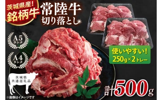 【茨城県共通返礼品】常陸牛切り落とし 500g【使いやすい 小分け 250g×2 銘柄牛 牛肉 冷凍 たんぱく質 ビタミン 茨城県産】(81-15)
