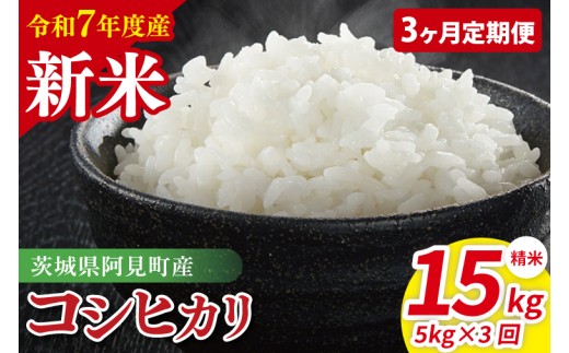 【3ヶ月定期便】令和7年産 阿見町産コシヒカリ　精米　5kg｜ お米 米 ごはん 阿見町 茨城県 茨城県産 茨城県産米（85-08）