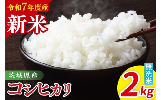 令和7年産 茨城県産コシヒカリ 無洗米 2kg | 茨城県産 茨城県産米(85-85)