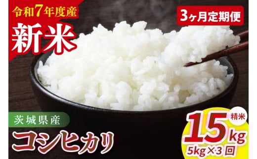 【3ヶ月定期便】令和7年産 茨城県産コシヒカリ　精米　5kg｜ お米 米 ごはん 阿見町 茨城県 茨城県産 茨城県産米（85-23）