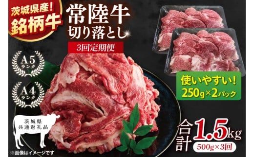【茨城県共通返礼品】【3ヶ月定期便】常陸牛切り落とし 500g（250g×2）【黒毛和牛 国産 銘柄牛 牛肉 肉 冷凍 茨城県産】(81-19)