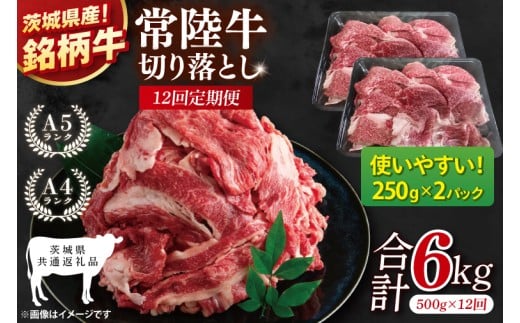 【茨城県共通返礼品】【12ヶ月定期便】常陸牛切り落とし 500g（250g×2）【黒毛和牛 国産 銘柄牛 牛肉 肉 冷凍 茨城県産】(81-21)