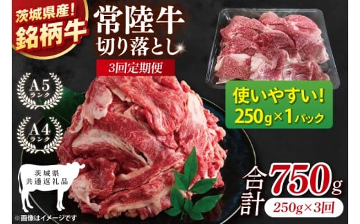 【茨城県共通返礼品】【3ヶ月定期便】お試しサイズ！常陸牛切り落とし 250g【黒毛和牛 国産 銘柄牛 牛肉 肉 冷凍 茨城県産】(81-23)