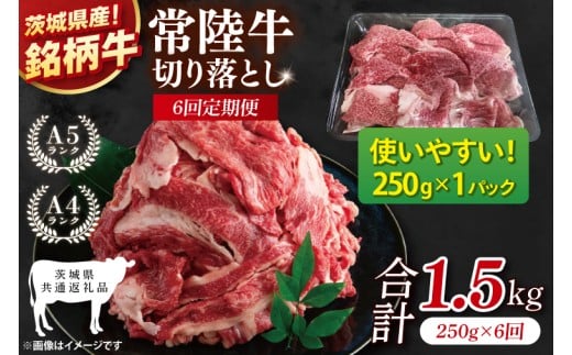 【茨城県共通返礼品】【6ヶ月定期便】お試しサイズ！常陸牛切り落とし 250g【黒毛和牛 国産 銘柄牛 牛肉 肉 冷凍 茨城県産】(81-24)