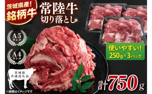 【茨城県共通返礼品】常陸牛切り落とし 750g（250g×3）【黒毛和牛 国産 銘柄牛 牛肉 肉 冷凍 茨城県産】(81-26)