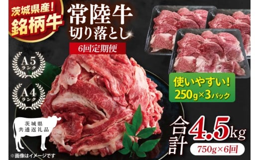 【茨城県共通返礼品】【6ヶ月定期便】常陸牛切り落とし 750g（250g×3）【黒毛和牛 国産 銘柄牛 牛肉 肉 冷凍 茨城県産】(81-28)