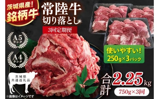 【茨城県共通返礼品】【3ヶ月定期便】常陸牛切り落とし 750g（250g×3）【黒毛和牛 国産 銘柄牛 牛肉 肉 冷凍 茨城県産】(81-27)