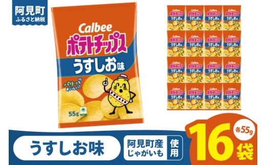 カルビー ポテトチップスうすしお味(55g) 16個|Calbee お菓子 菓子 おやつ おかし ぽてち ポテチ スナック おつまみ ジャガイモ じゃがいも(93-01)