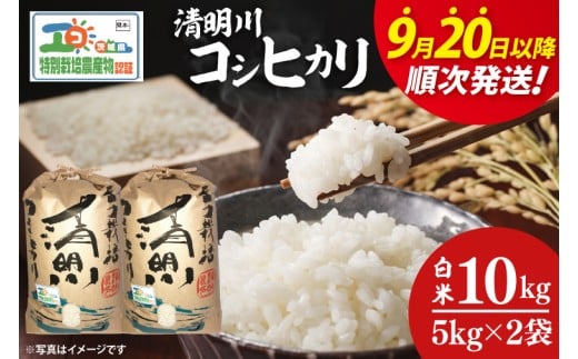 【令和7年9月20日以降順次発送】【先行予約】新米令和7年産茨城県特別栽培認証 清明川コシヒカリ白米5kg×2袋【米 おこめ こしひかり  特別栽培米 農家直送 直送 茨城県 阿見町】（04-02-1）