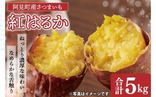 【先行予約 11月頃から順次発送】茨城県阿見町産 さつまいも 紅はるか 5kg×1【サツマイモ 生芋 べにはるか 茨城県 阿見町】(04-10)