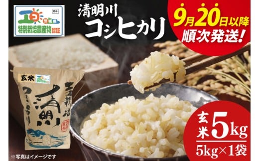 【令和7年9月20日以降順次発送】【先行予約】新米令和7年産 茨城県特別栽培認証 清明川コシヒカリ玄米 5㎏【米 おこめ こしひかり  特別栽培米 農家直送 直送 茨城県 阿見町】(04-19-1)