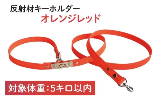 『白×虹柄』反射材の光る犬用リード【小型犬5kg用】【散歩 愛犬 夜散歩 阿見町 茨城県】(40-05)