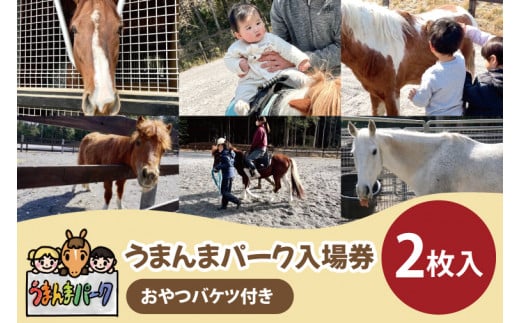 55-01 うまんまパーク入場券(おやつバケツ付き)2枚セット【馬 パーク 牧場 乗馬 入場券 茨城県 阿見町】