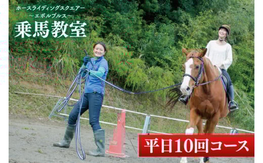 28-03 乗馬チケット 平日 10回 コース ホースライディングスクエア エボルブルス【乗馬 チケット 回数券 茨城県 阿見町】