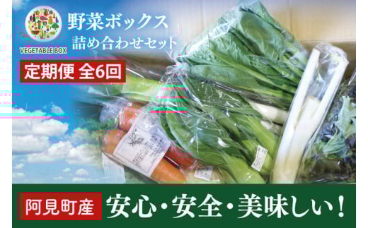 04-07【6ヶ月定期便】阿見町産野菜ボックス詰め合わせセット（7～8品）【新鮮 美味しい EM菌 減農薬 有機肥料 阿見町 茨城県】