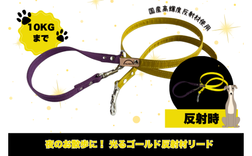 『ゴールド』反射材の光る犬用リード【小型犬用10キロまで】【散歩 愛犬 夜散歩 手作り 阿見町 茨城県】(40-29)