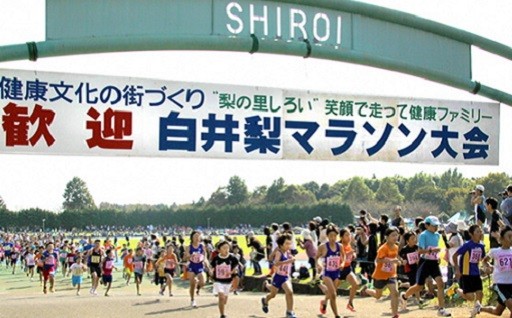 ⑫ スポーツの振興に関する事業